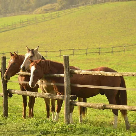 Origine Country Farm