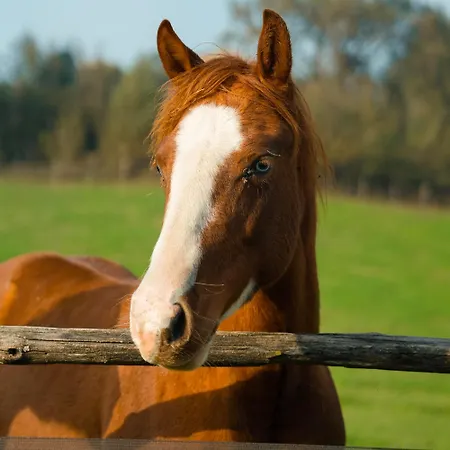 Origine Country Farm