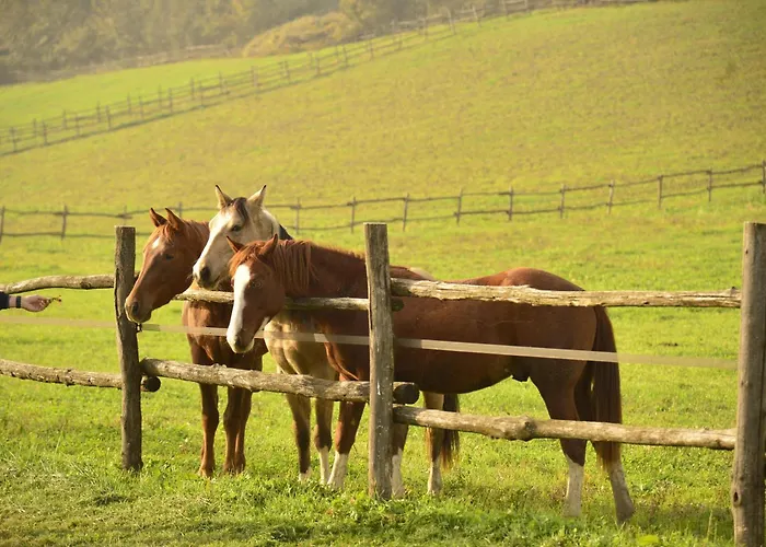 Origine Country Farm