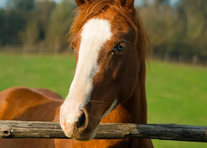 Origine Country Farm