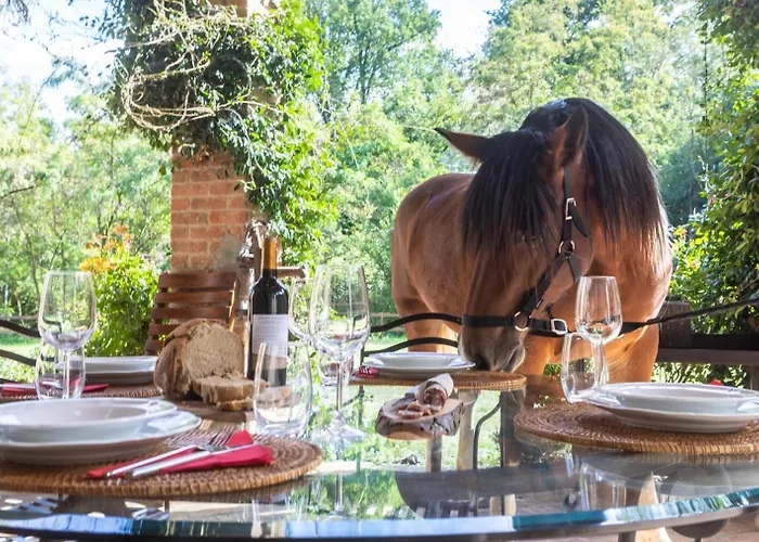 Origine Country Farm Apartamento